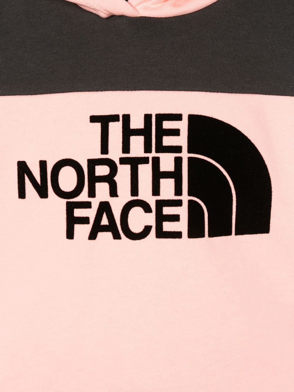 фото The north face kids logo hoodie