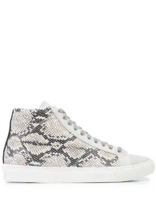 p448 trainers