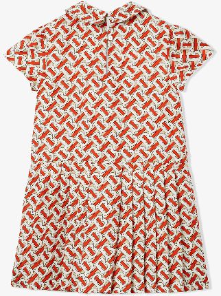 burberry print mini dress