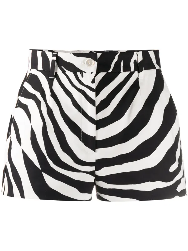 dolce gabbana zebra