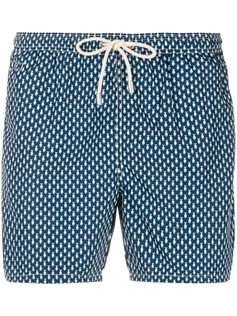 MC2 Saint Barth shorts de playa con estampado de peces
