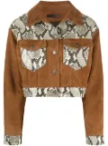 Giuseppe Zanotti snakes-panelled jacket - Brown