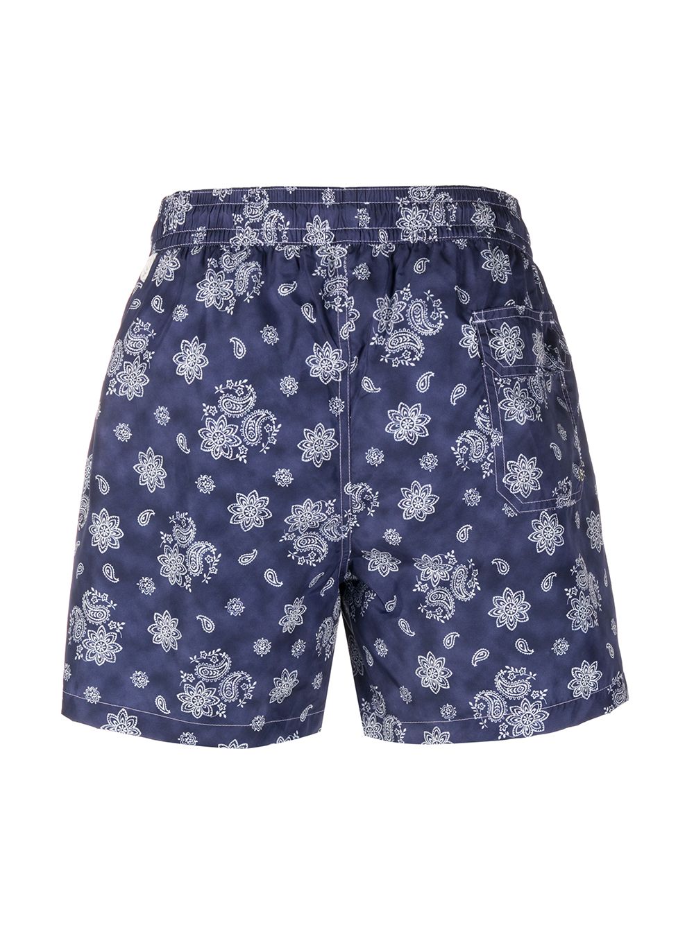 фото Borrelli floral and paisley swimming trunks