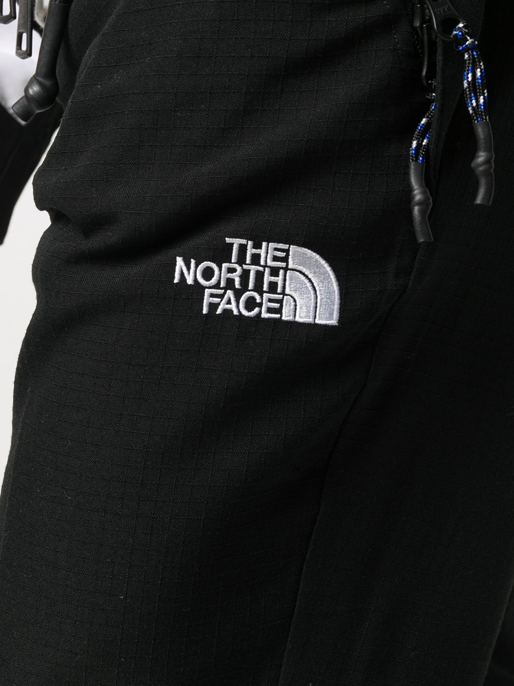 фото The north face black series спортивные брюки future light ripstop