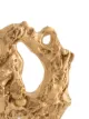 LOVENESS LEE Pereskia earrings