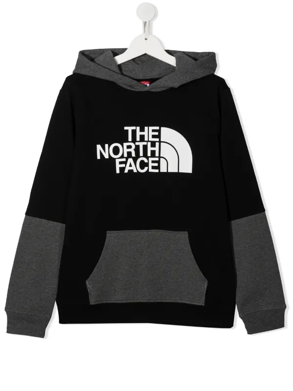 the north face hoodie kids