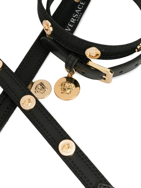 Versace dog harness Clearance