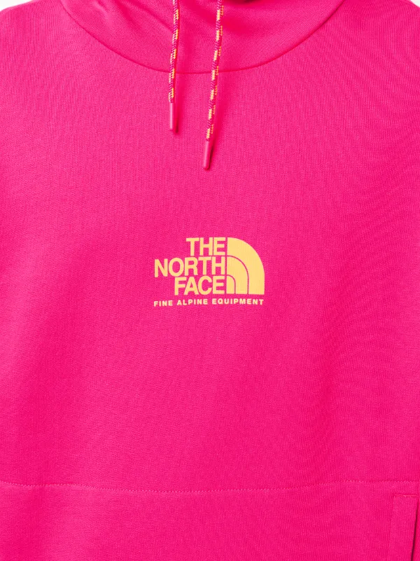 the north face fine alpine equipment hoodie