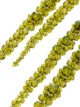 Simone Rocha flower drop crystal earrings