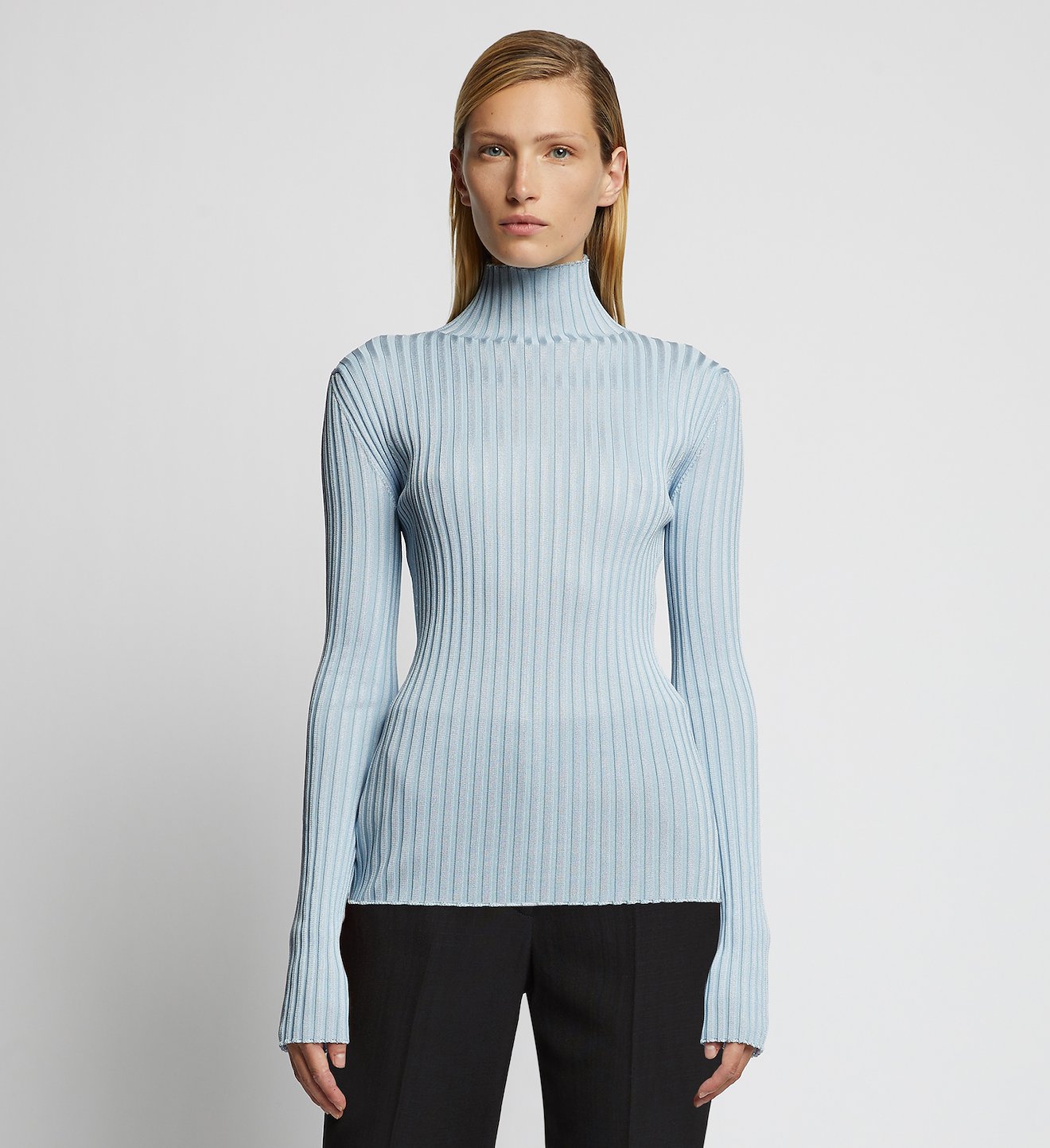 Glossy Rib Knit Turtleneck Top