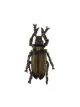Image 1 of Gianfranco Ferré Pre-Owned 2000s beetle brooch