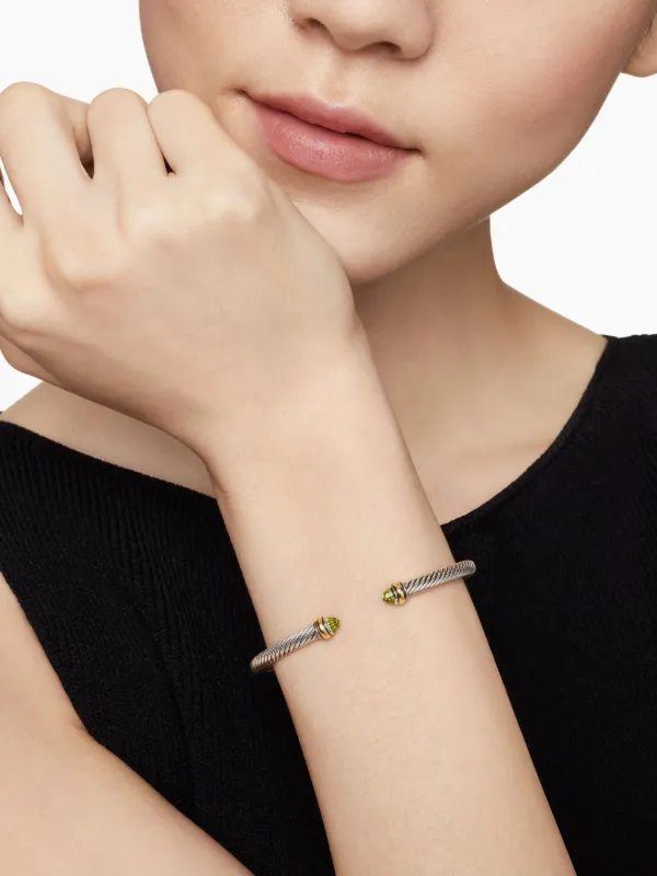 David Yurman 18kt Yellow Gold And Sterling Silver Classic Cable