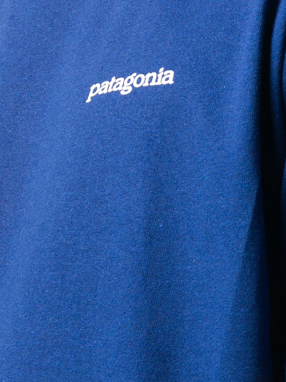 фото Patagonia fitz roy logo print t-shirt