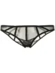 Image 1 of Kiki de Montparnasse sheer brazilian briefs