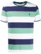 Image 1 of Polo Ralph Lauren embroidered logo striped T-shirt