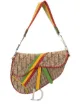 Image 1 of Christian Dior pre-owned Rasta Trotter Saddle shoulder bag