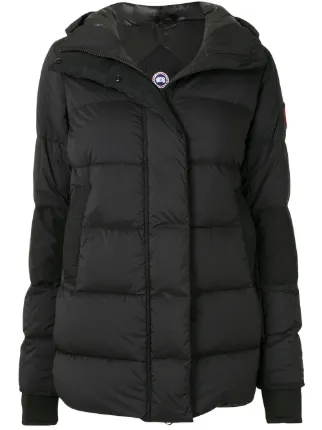 Canada Goose
