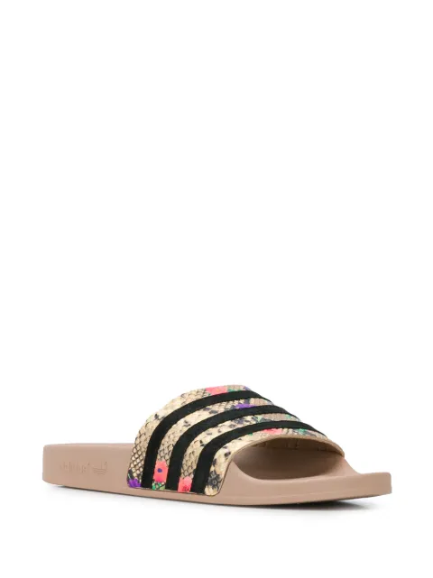 adidas slides snakeskin