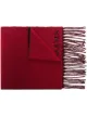 Image 1 of Alexander McQueen Blown Up intarsia-knit scarf