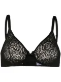 Wacoal halo lace moulded underwire bra - Black