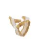 LOVENESS LEE Ela two-tone ring