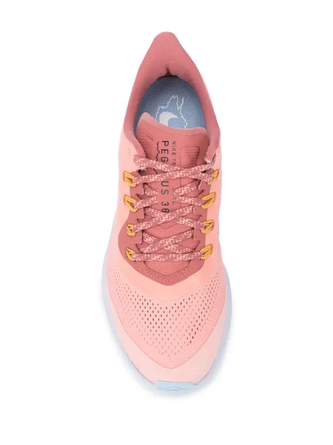 balenciaga nike pegasus