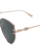 Dior Eyewear DiorGipsy1 butterfly-frame sunglasses