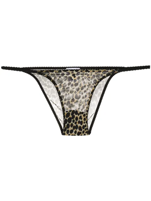 dolce and gabbana thong