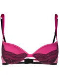 Dolce & Gabbana lace panel bra - Pink