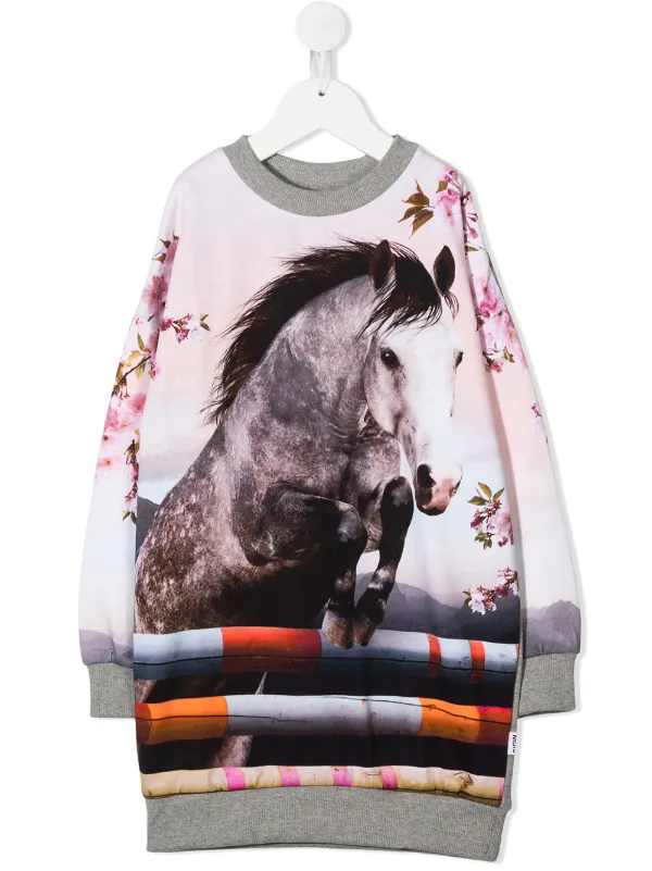 pull cheval
