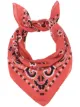 Image 1 of Destin paisley print neck scarf