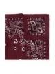 Destin bandana print scarf