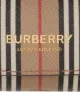 Burberry Icon stripe AirPod Pro case