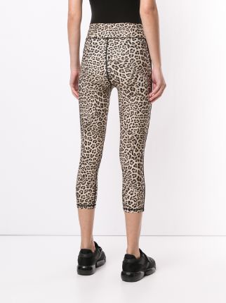 leopard print leggings展示图