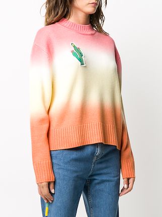 Cactus ombré sweater展示图