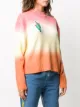 Mira Mikati Cactus ombré sweater