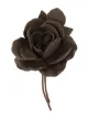 Image 1 of P.A.R.O.S.H. flower brooch