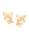 Jennifer Behr Papillon butterfly earrings - Gold