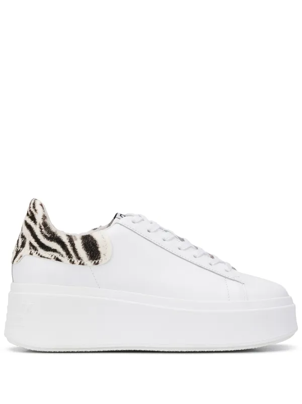 ash platform trainers