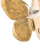 Jennifer Behr Pippa butterfly earrings