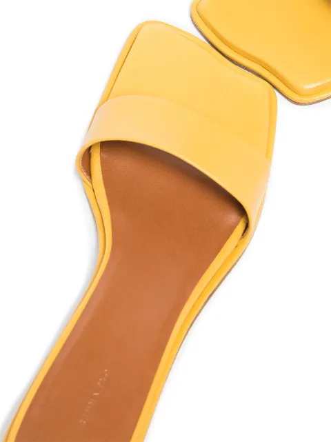 rejina pyo mules