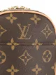 Louis Vuitton 2003 pre-owned Gange belt bag