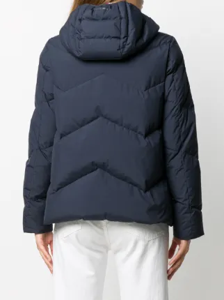 hooded puffer jacket展示图