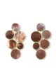 Image 1 of IPPOLITA 18kt yellow gold Polished Rock Candy 6-stone circle cluster brown shell earrings