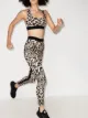 Image 2 of Paco Rabanne leopard print stretch-fit leggings