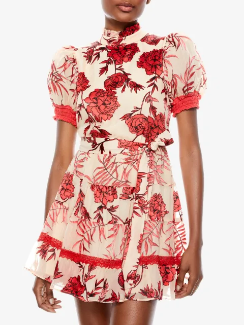 keepsake enchanted mini dress