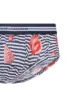 Dolce & Gabbana striped shell print briefs