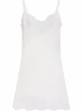 Dolce & Gabbana lace-trim camisole top - White