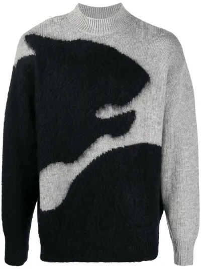 tiger shadow intarsia-knit jumper 