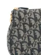 Christian Dior pre-owned Trotter Saddle shoulder bag